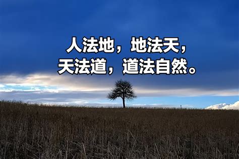 人法地 地法天|怎么理解「人法地，地法天，天法道，道法自然」这句话？